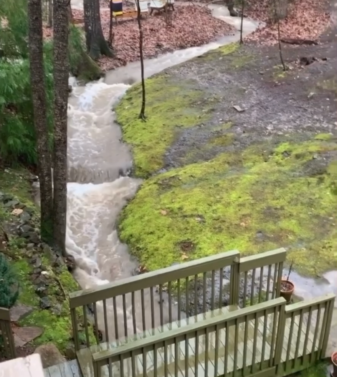 Randleman Rule 15A 02B.0720: ALL waters of the Randleman watershed are CRITICAL WATER SUPPLY WATERSHED